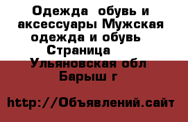 Одежда, обувь и аксессуары Мужская одежда и обувь - Страница 10 . Ульяновская обл.,Барыш г.